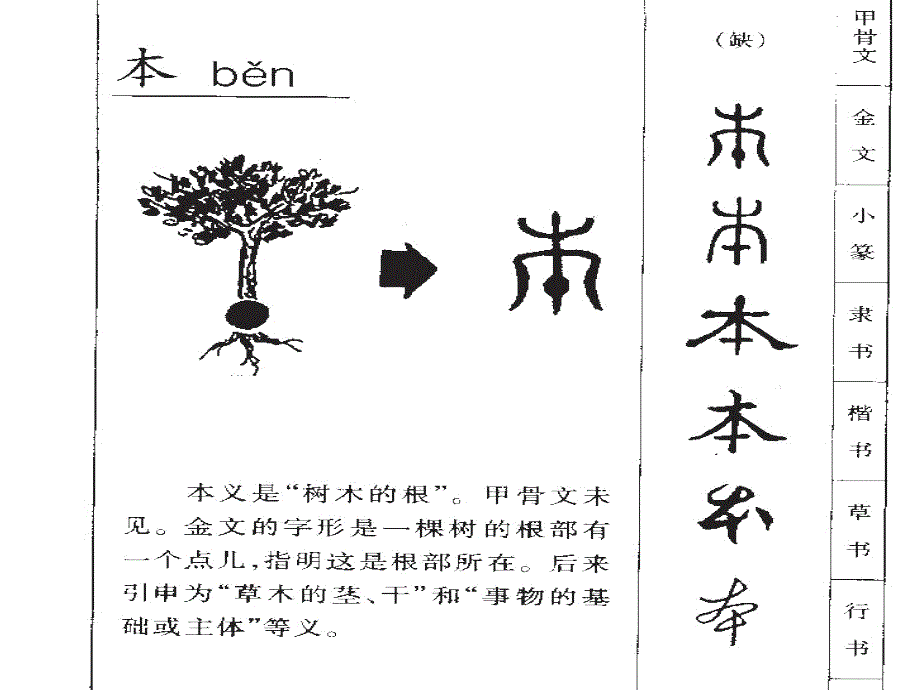 苏教版小学二年级语文下册谁的本领大课件课件_第3页