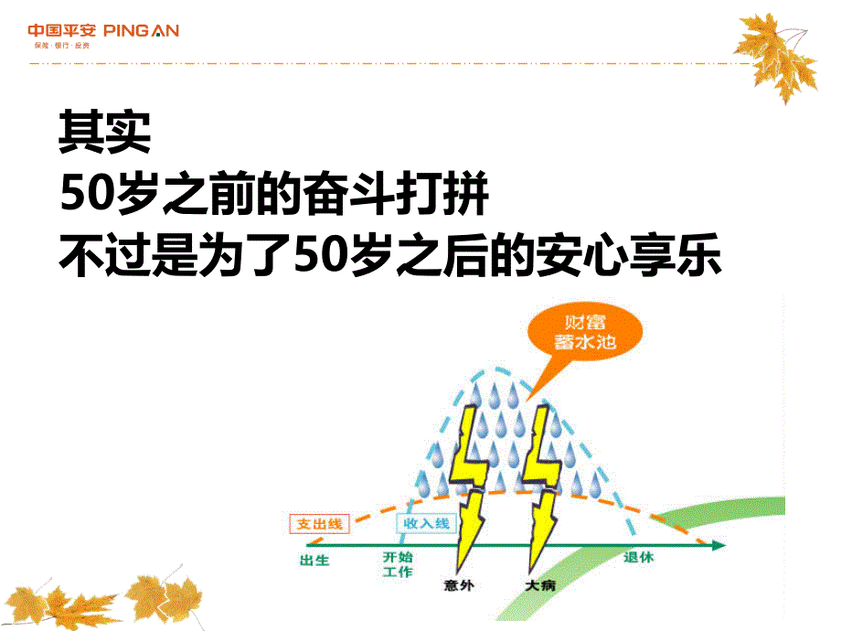 养老专题养老生命不能承受之重ppt培训课件_第3页