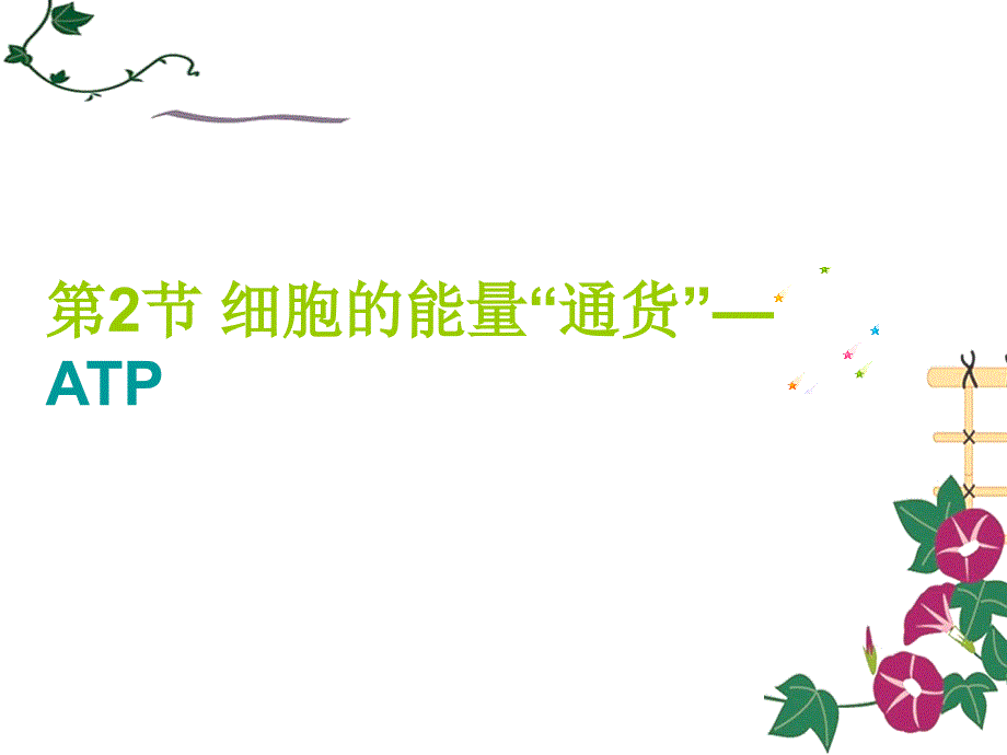 ATP-细胞的能量通货 PPT_第2页