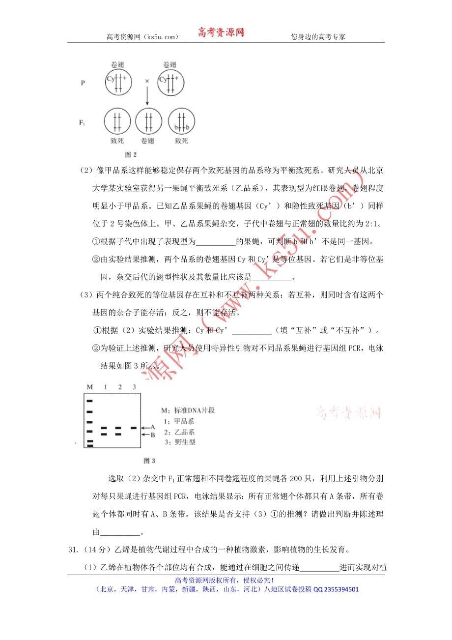 北京市东城区2018届高三4月综合练习（一模）生物试题 word版含答案_第5页