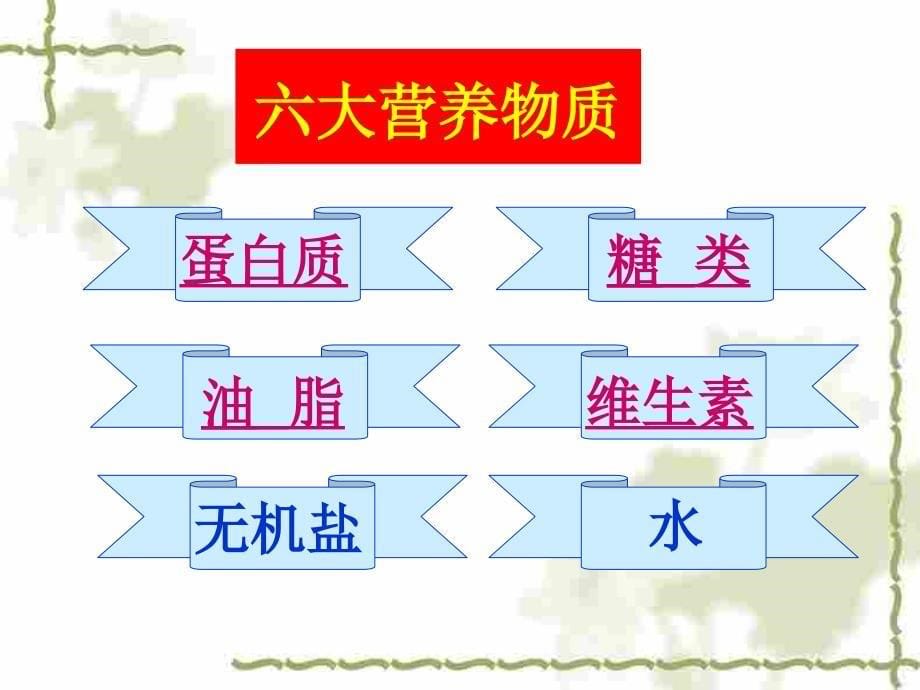 三大营养物质ppt培训课件_第5页