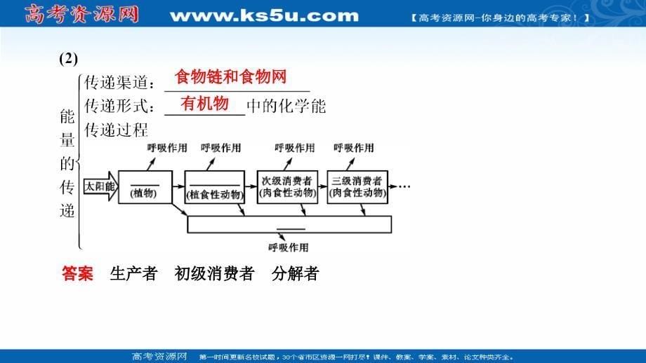 2019版高考生物大一轮优选（全国通用版）课件：第40讲 生态系统的能量流动与物质循环 _第5页