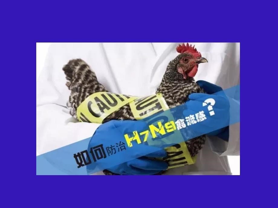 人感染h7n9型禽流感2017年3月2日编_第5页