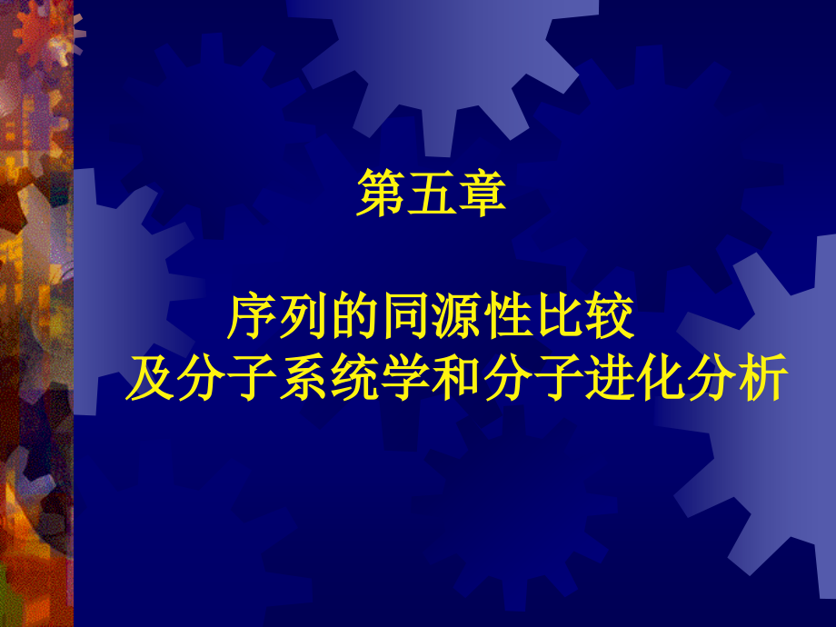 序列的同源性比较及分子系统学和分子进化分析ppt培训课件_第1页