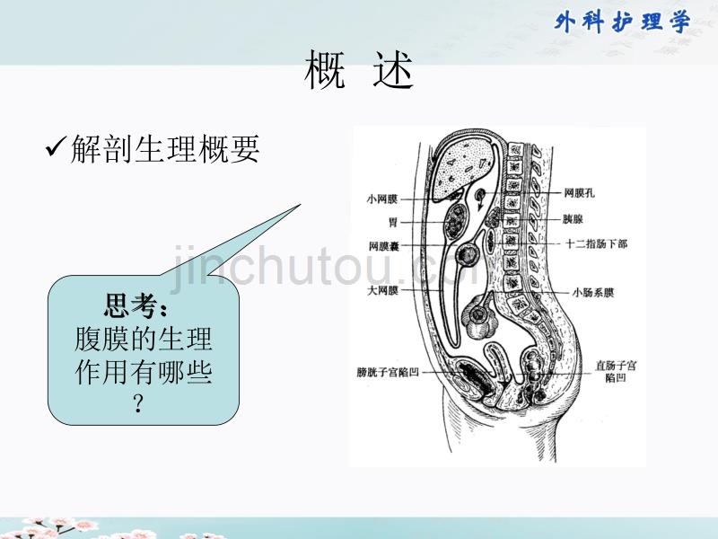 24第二十四章_急性化脓性腹膜炎病人的护理 外科护理学_第4页