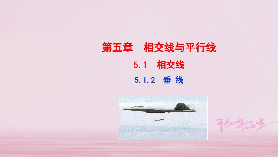 七年级数学下册第5章相交线与平行线5.1相交线5.1.2垂线课件新新人教_第1页