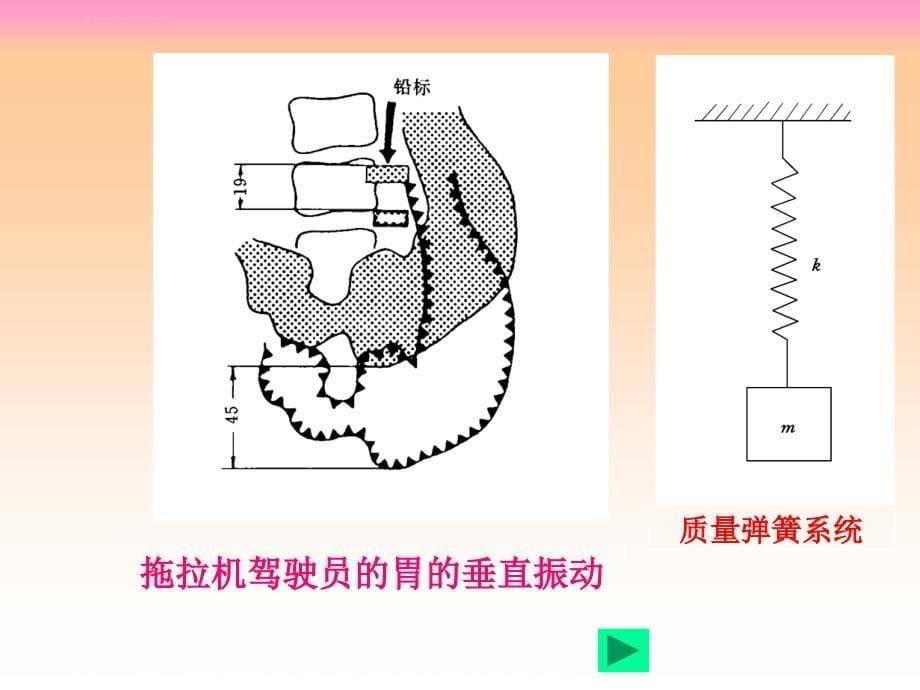 单自由度系统的自由振动 (2)ppt培训课件_第5页