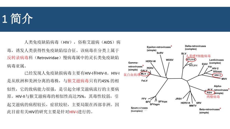 人体免疫缺陷病毒hiv简介_第2页