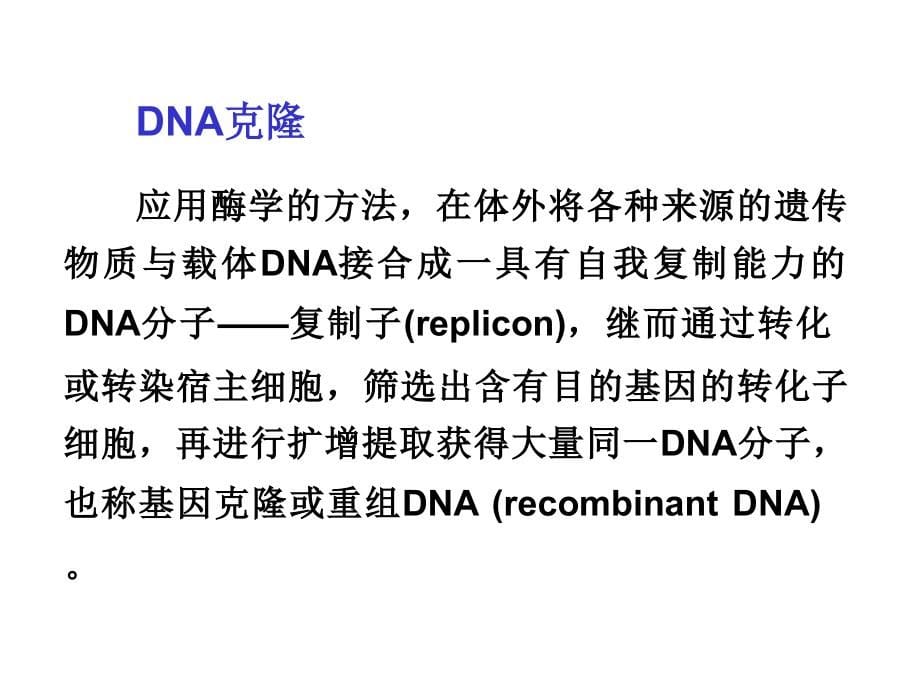 重组dna技术与蛋白质工程ppt培训课件_第5页