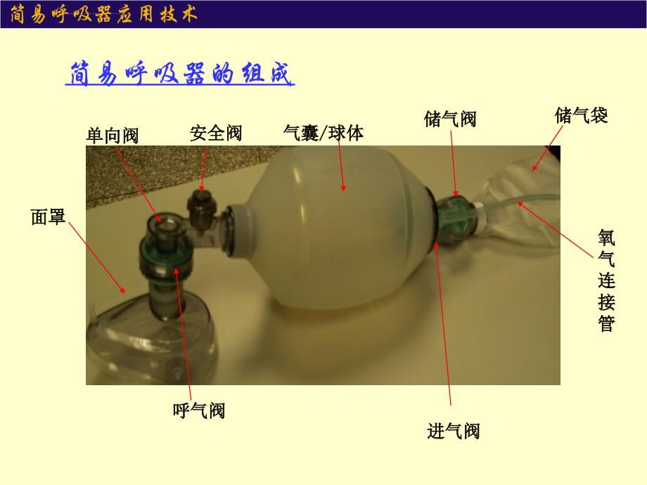 简易呼吸器使用技术ppt培训课件_第4页