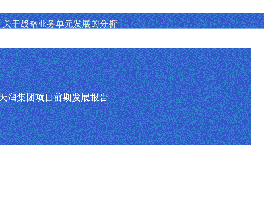 天润集团商业项目前期发展报告ppt培训课件_第1页