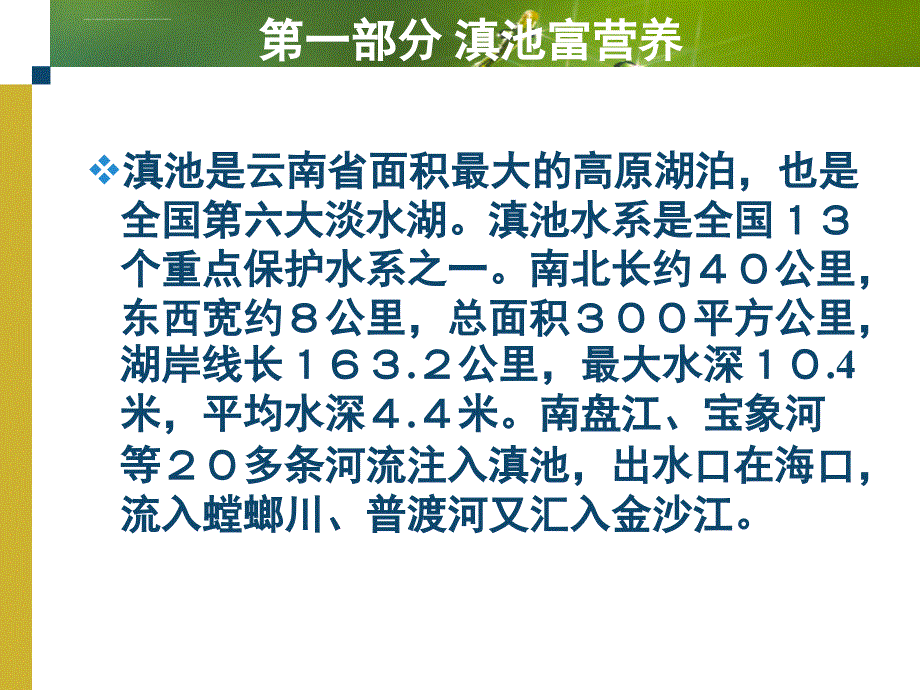 滇池富营养及其蓝藻资源化开发利用前景ppt培训课件_第2页