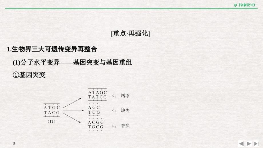 2019届高考生物一轮复习中图版课件：阶段排查 回扣落实（六） _第5页