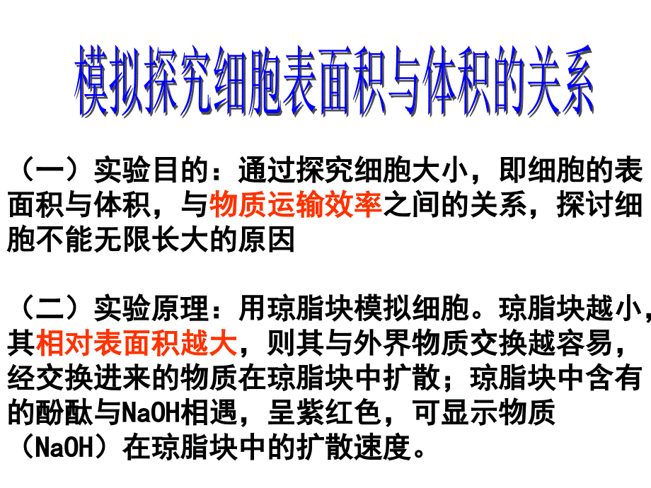 细胞增殖（人教版必修二）ppt培训课件_第3页