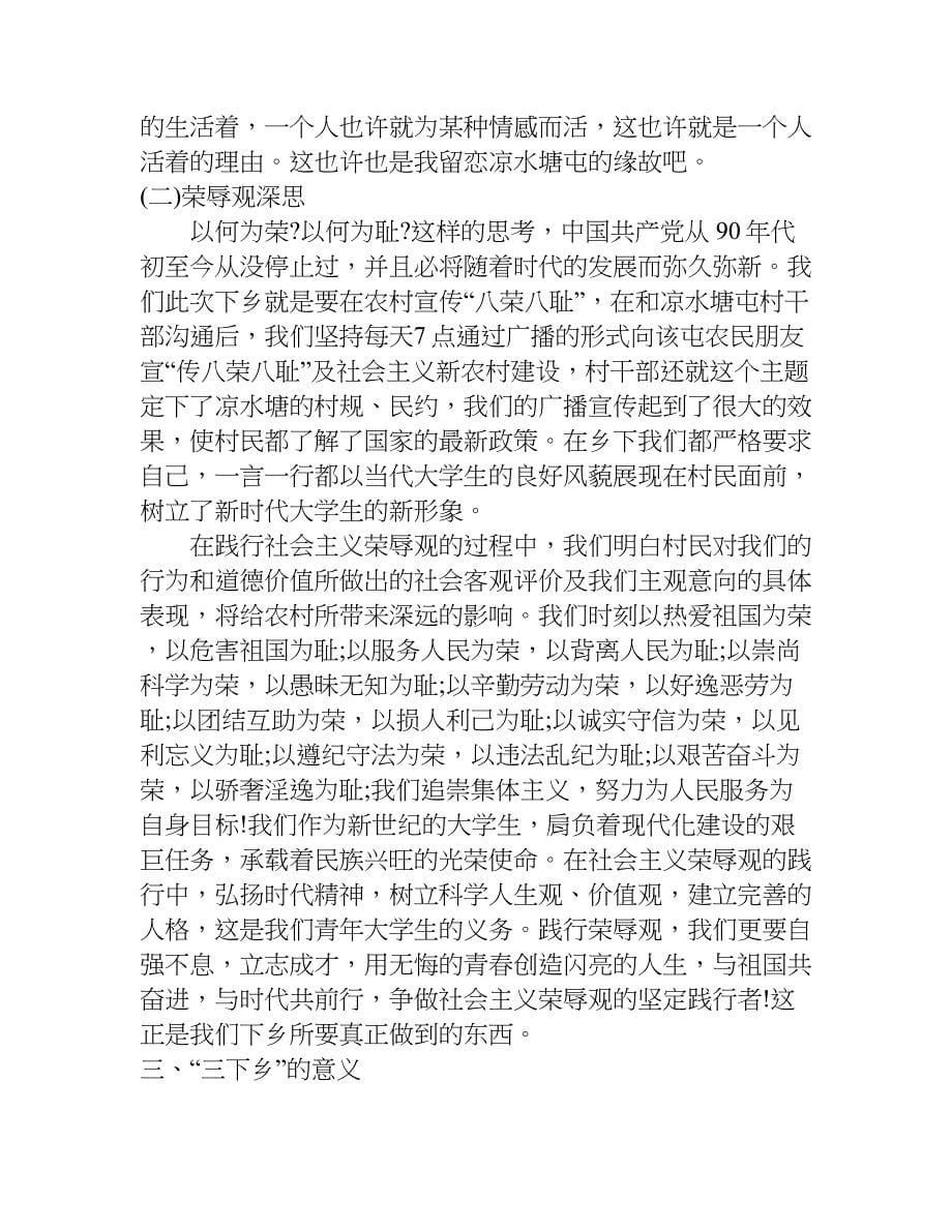 大学生暑假三下乡社会实践报告_1.doc_第5页