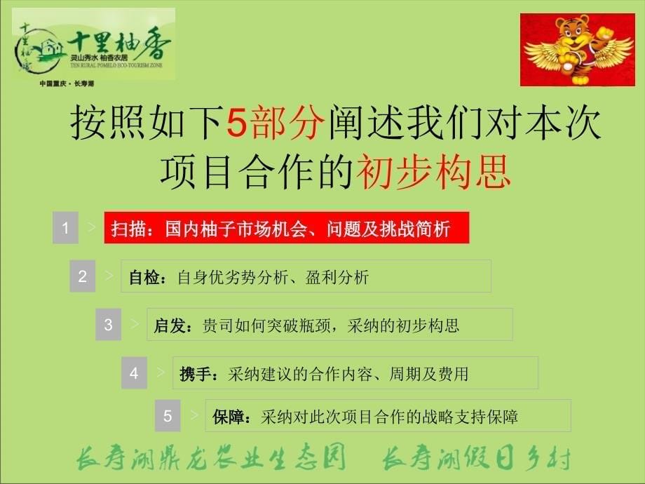 9月6日十里柚香品牌营销建议案 打造沙田柚品类的王者_第5页