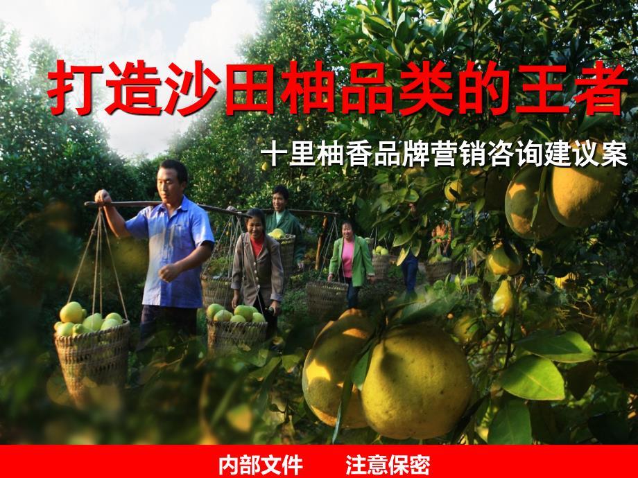 9月6日十里柚香品牌营销建议案 打造沙田柚品类的王者