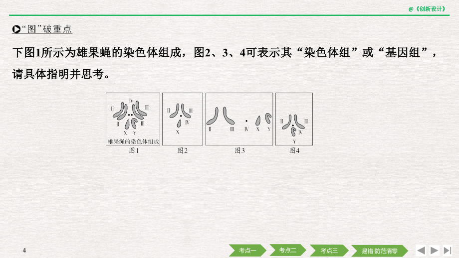 2019届高考生物一轮复习中图版课件：必修二 第八单元 第20讲人类遗传病及人类基因组计划 _第4页