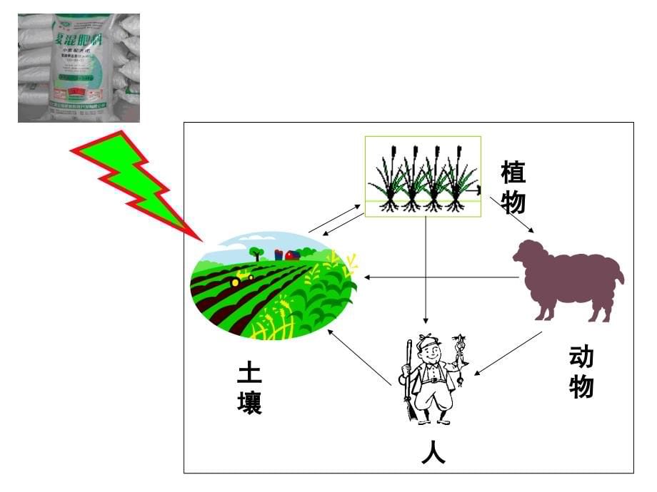 我国蔬菜土壤肥料问题与管理技术ppt培训课件_第5页