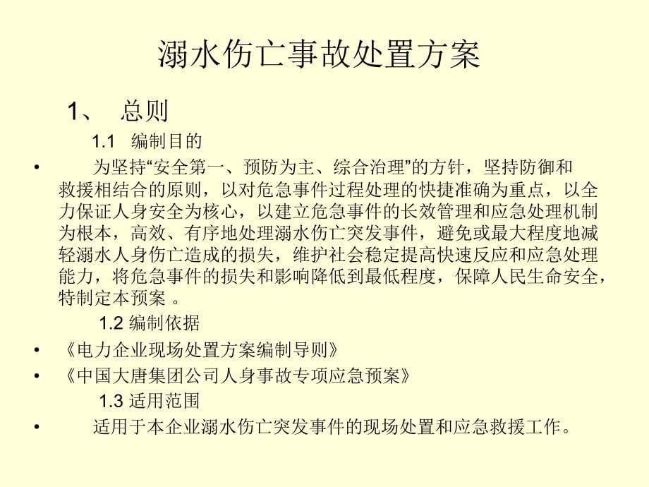 溺水伤亡事故处置方案_第5页