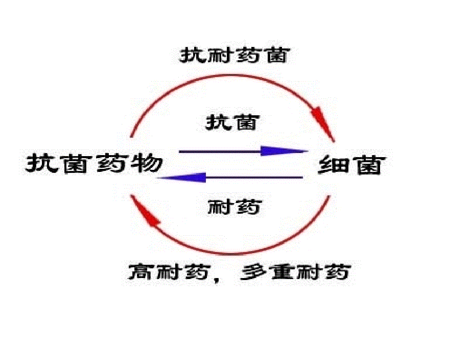 细菌耐药监测与抗菌药物的合理使用（2005）ppt培训课件_第4页