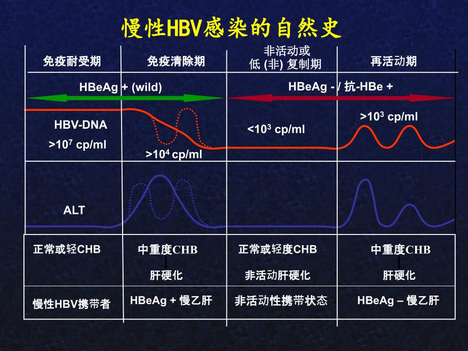 慢性乙肝抗病毒治疗相关问题-王江滨ppt培训课件_第2页