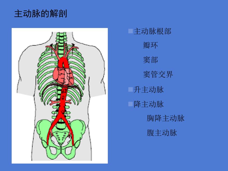 大血管疾病的超声诊断课件_第2页