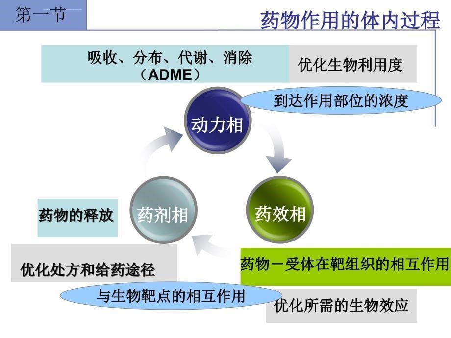 新药设计与开发课件_第5页