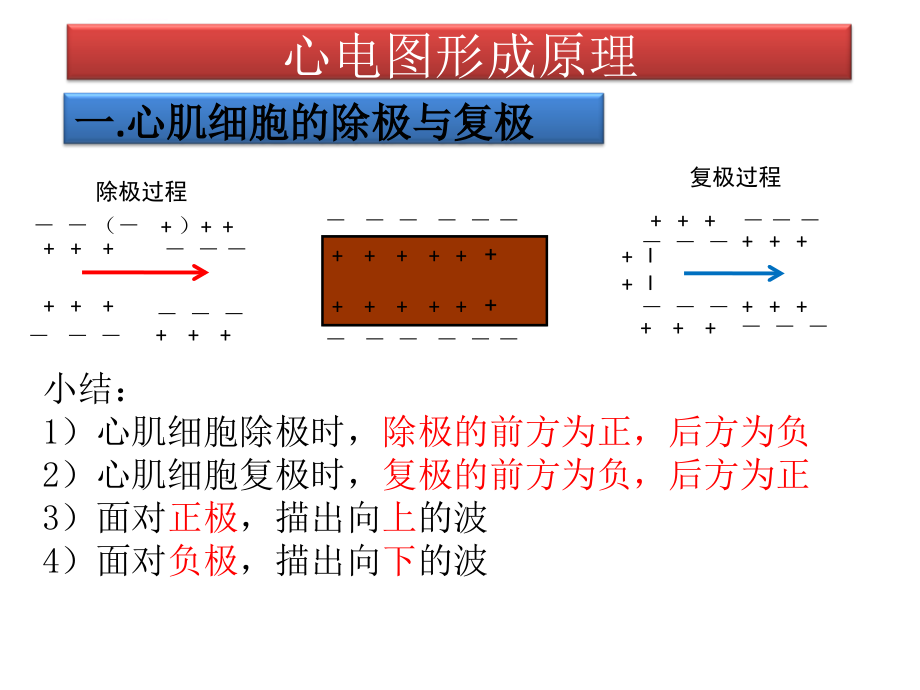 心电图(西安医学院讲课课件)_第4页