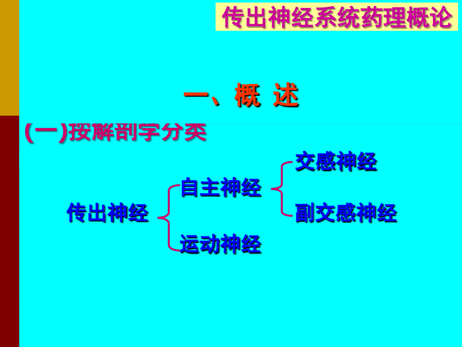 基础医学概论-神经系统药理-作用于神经系统的药物教学课件_第4页