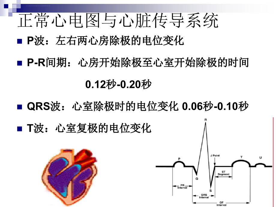 心律失常3课件_第3页