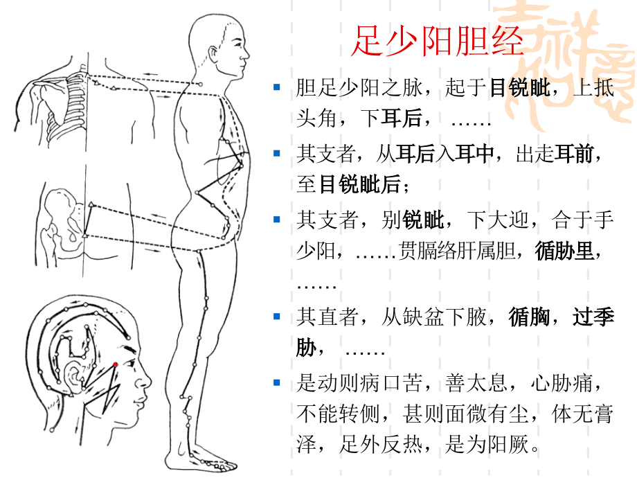 少阳病辨证论治ppt培训课件_第4页