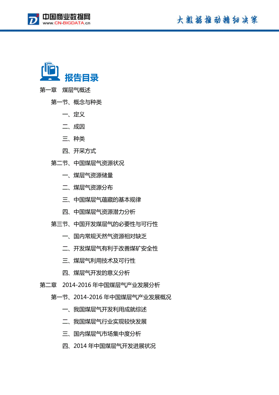 2017-2021年宁夏煤层气产业投资规划及前景分析报告_第2页