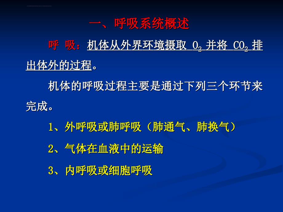 呼吸系统解剖生理学课件_第2页