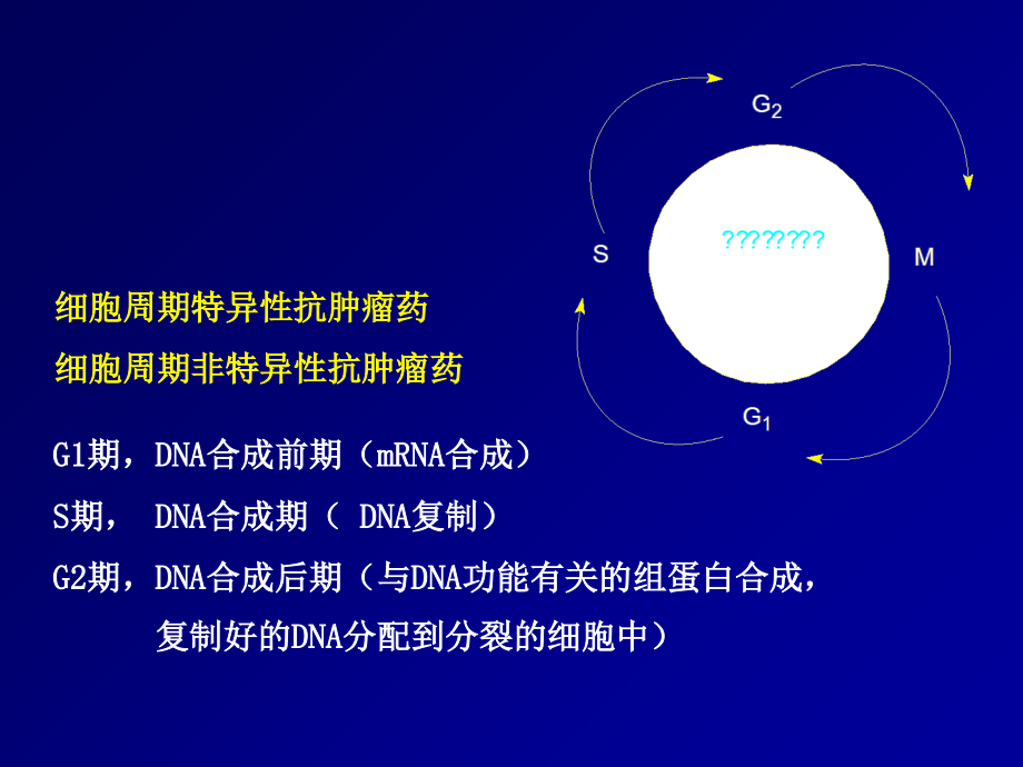 抗肿瘤药浙江大学药物化学课件_第3页