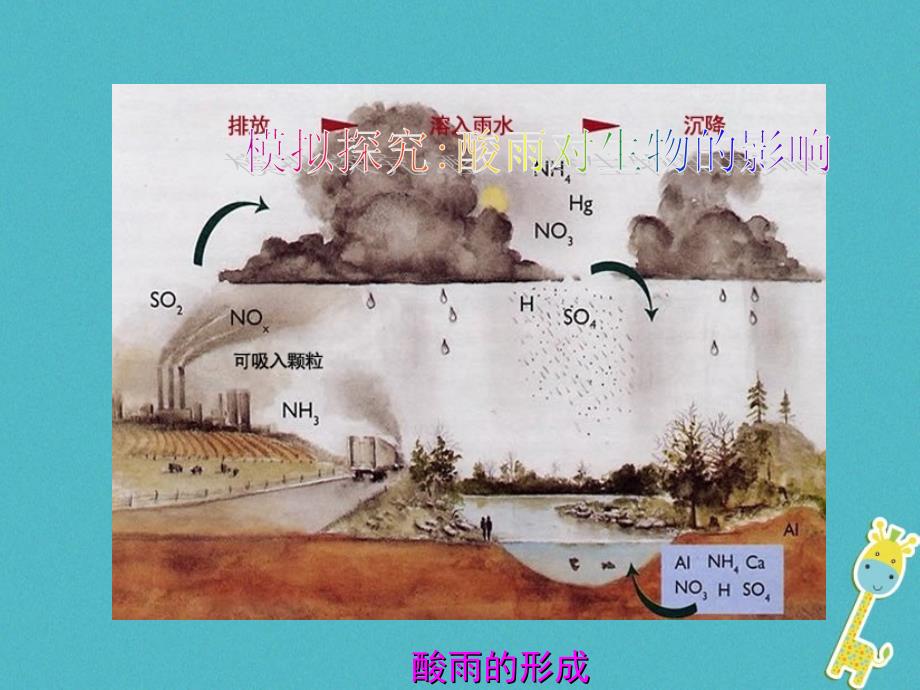 七年级生物下册第四单元第七章第二节探究环境污染对生物的影响课件2新版新人教_第3页