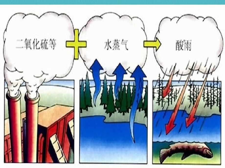 七年级生物下册第四单元第七章第二节探究环境污染对生物的影响课件2新版新人教_第4页