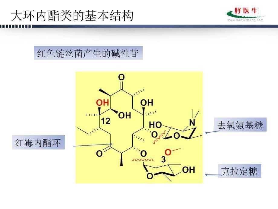 大环内酯类、林可霉素类、多肽类课件_第5页