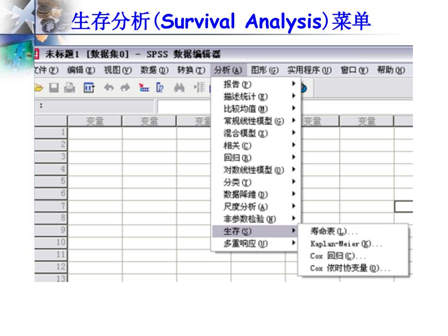 生存分析spss课件_第3页