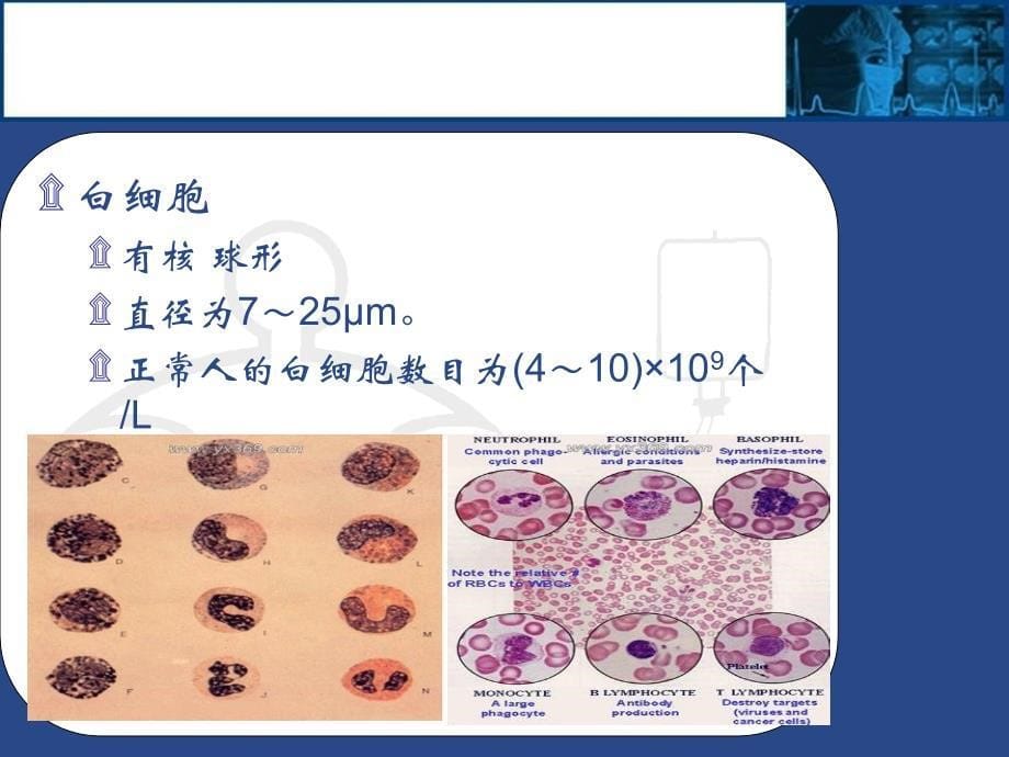 血液细胞分析仪原理及应用【ppt课件】_第5页