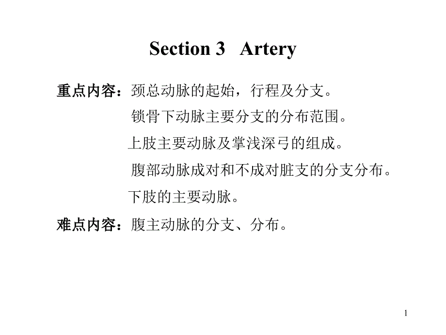 哈尔滨医科大学_系统解剖学_arteryppt培训课件_第1页