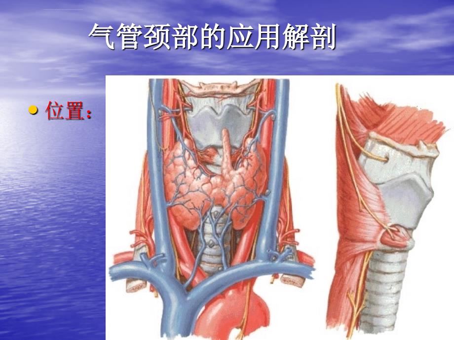 常用急救技术ppt培训课件_第4页