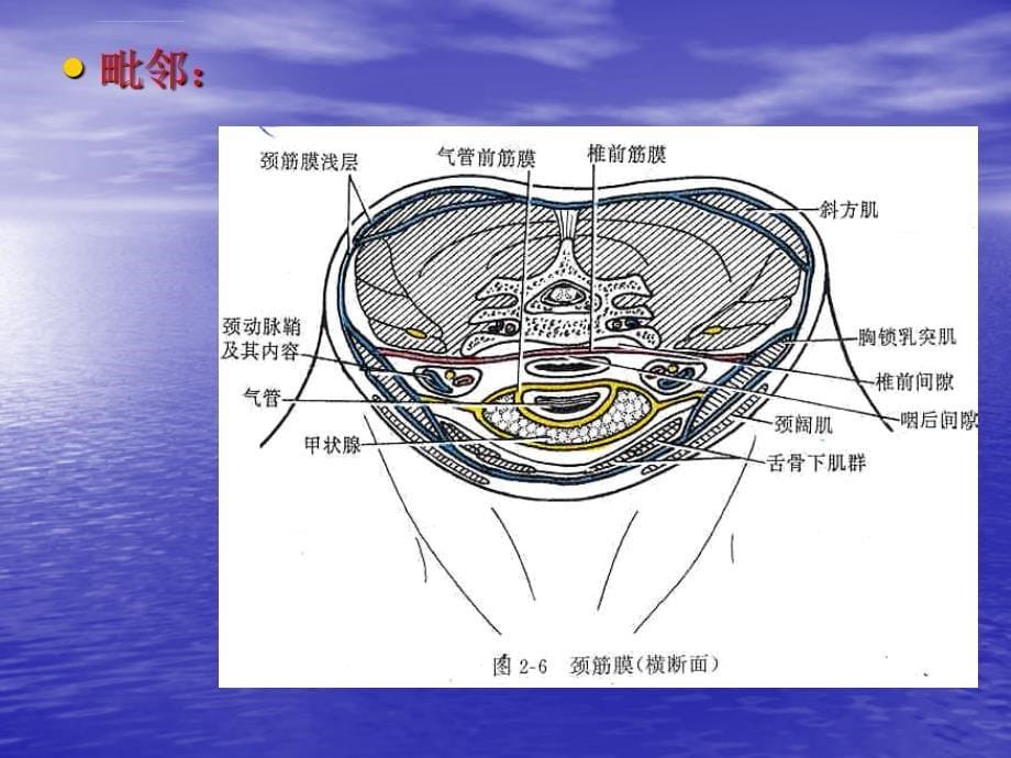 常用急救技术ppt培训课件_第5页