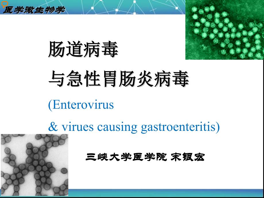 肠道病毒与急性胃肠炎病毒 宋 银宏_第1页