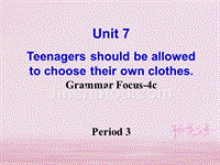 广东省汕头市龙湖区九年级英语全册Unit7TeenagersshouldbeallowedtochoosetheirownclothesPeriod3课件新版人教新目标版