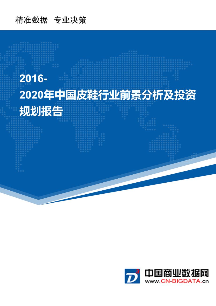 2016-2020年中国皮鞋行业前景分析及投资规划报告_第1页