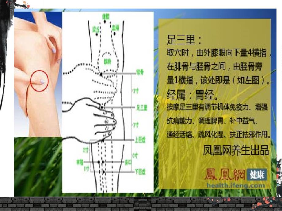 中医体质辨识及保健指导课件_第3页