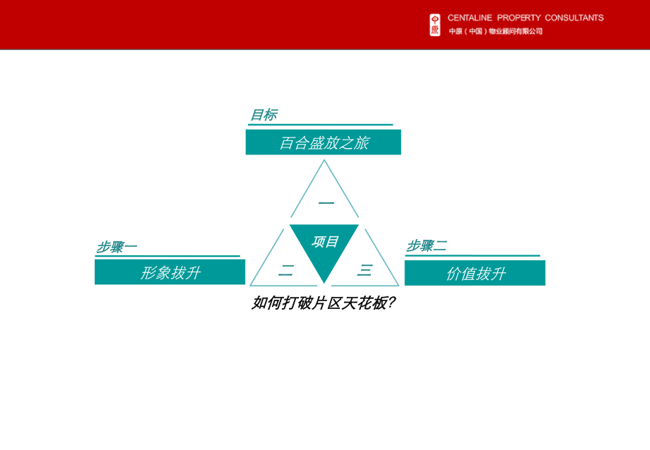 望城百合湖滨项目营销策略报告[湖南公司 事业二部]_第2页