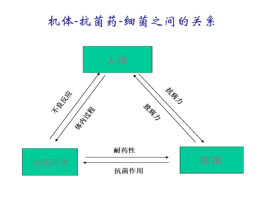 抗菌药物概论课件_第4页