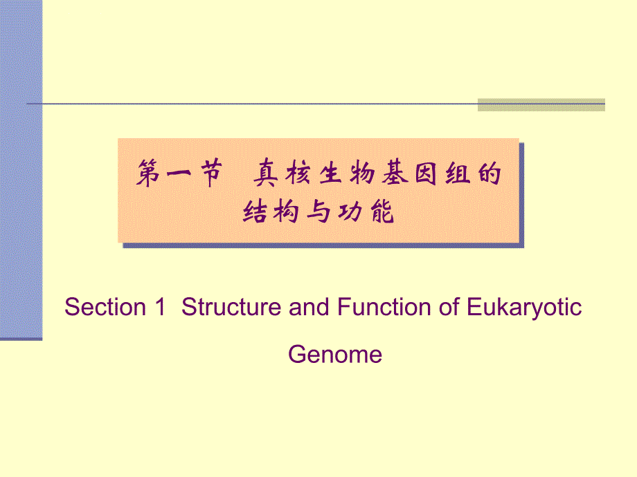 医学分子生物学(10zhang课件_第3页